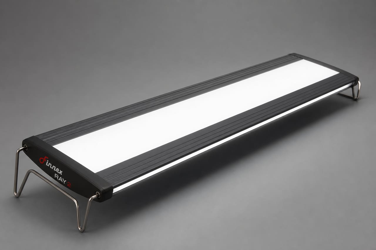 Finnex Ray 2 48 LED Light Panel in Studio Setting