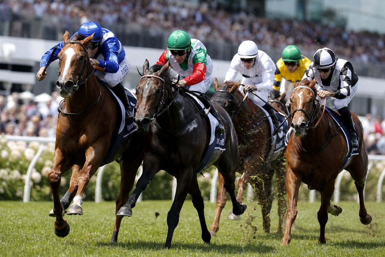 Thoroughbred Horses Racing in the Caulfield Cup Field 2017